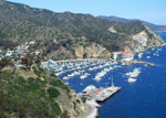 Catalina Island