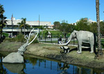 La Brea Tar Pits