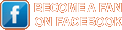 Become a Fan on Facebook
